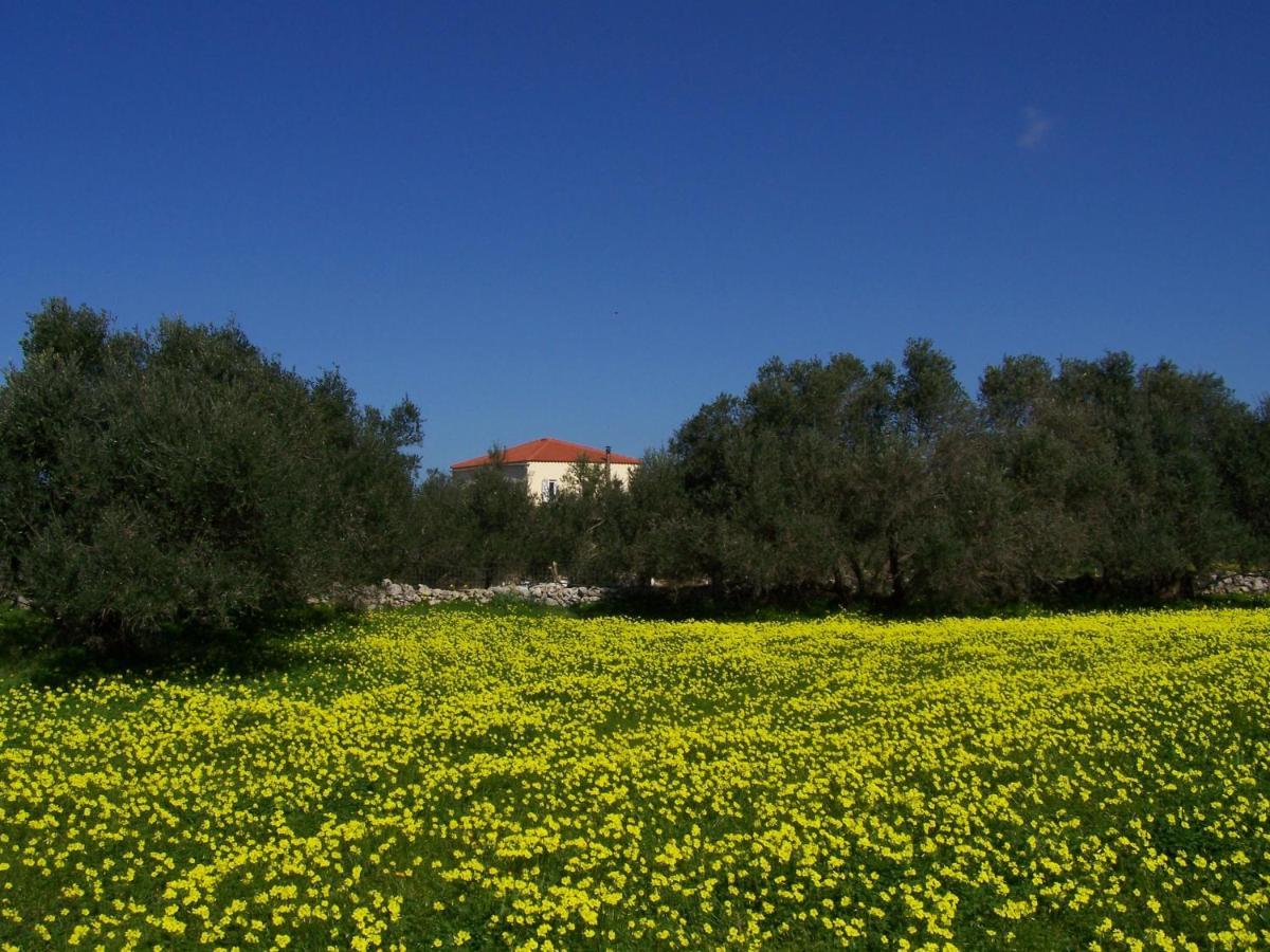 Manolo S Olive Farm, Apartment With Seaview Chania  Exterior foto