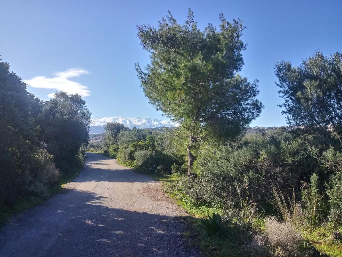 Manolo S Olive Farm, Apartment With Seaview Chania  Exterior foto