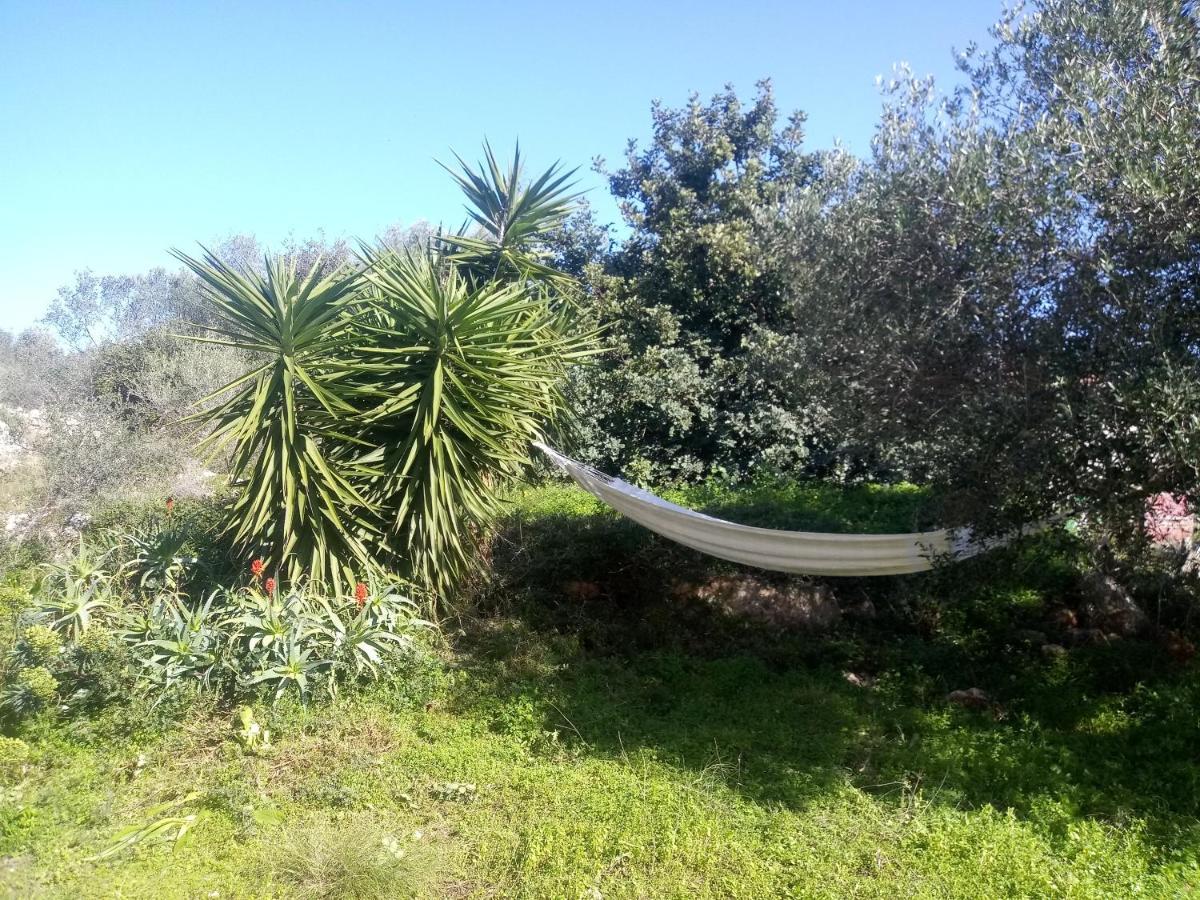 Manolo S Olive Farm, Apartment With Seaview Chania  Exterior foto