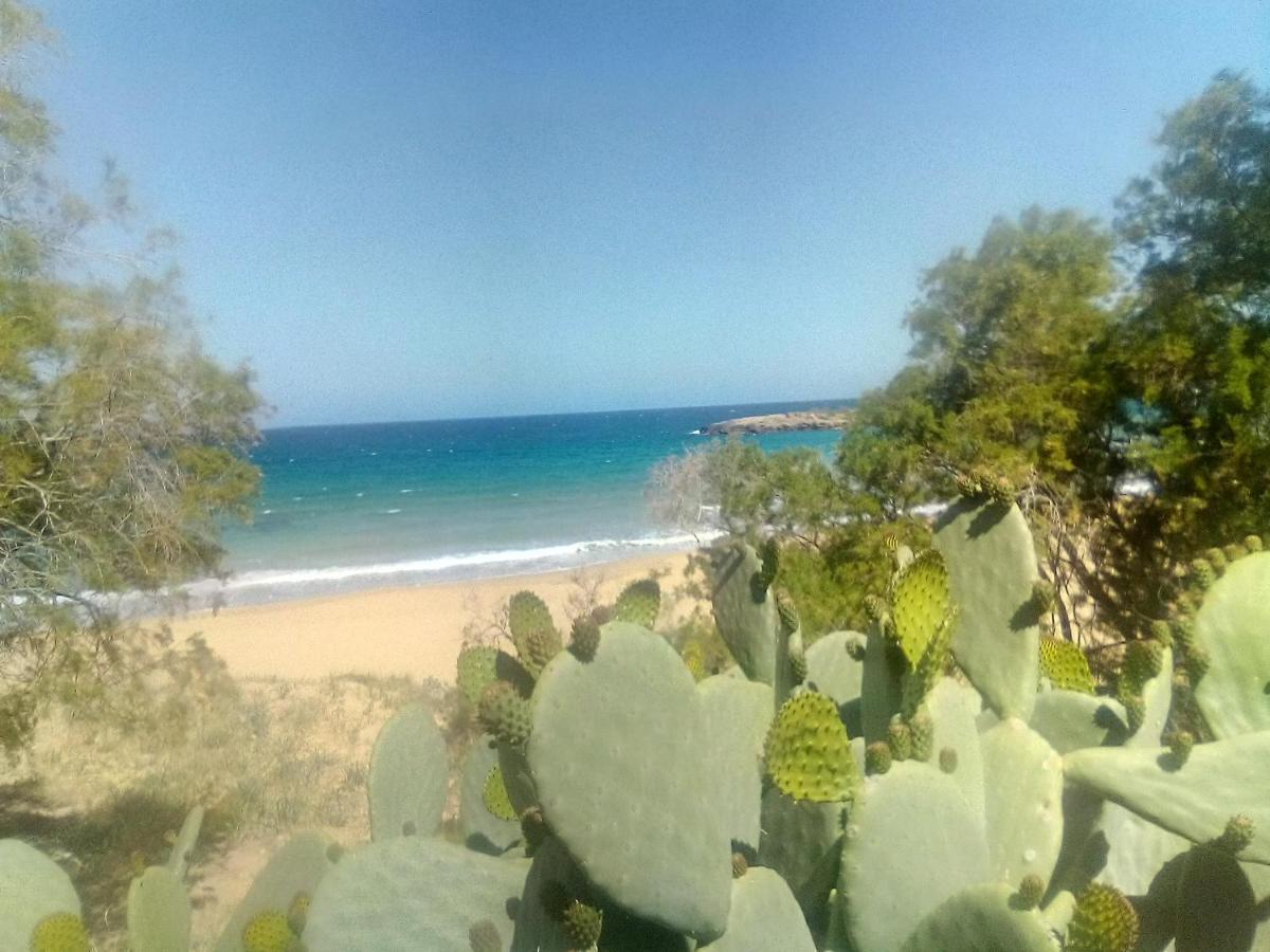 Manolo S Olive Farm, Apartment With Seaview Chania  Exterior foto