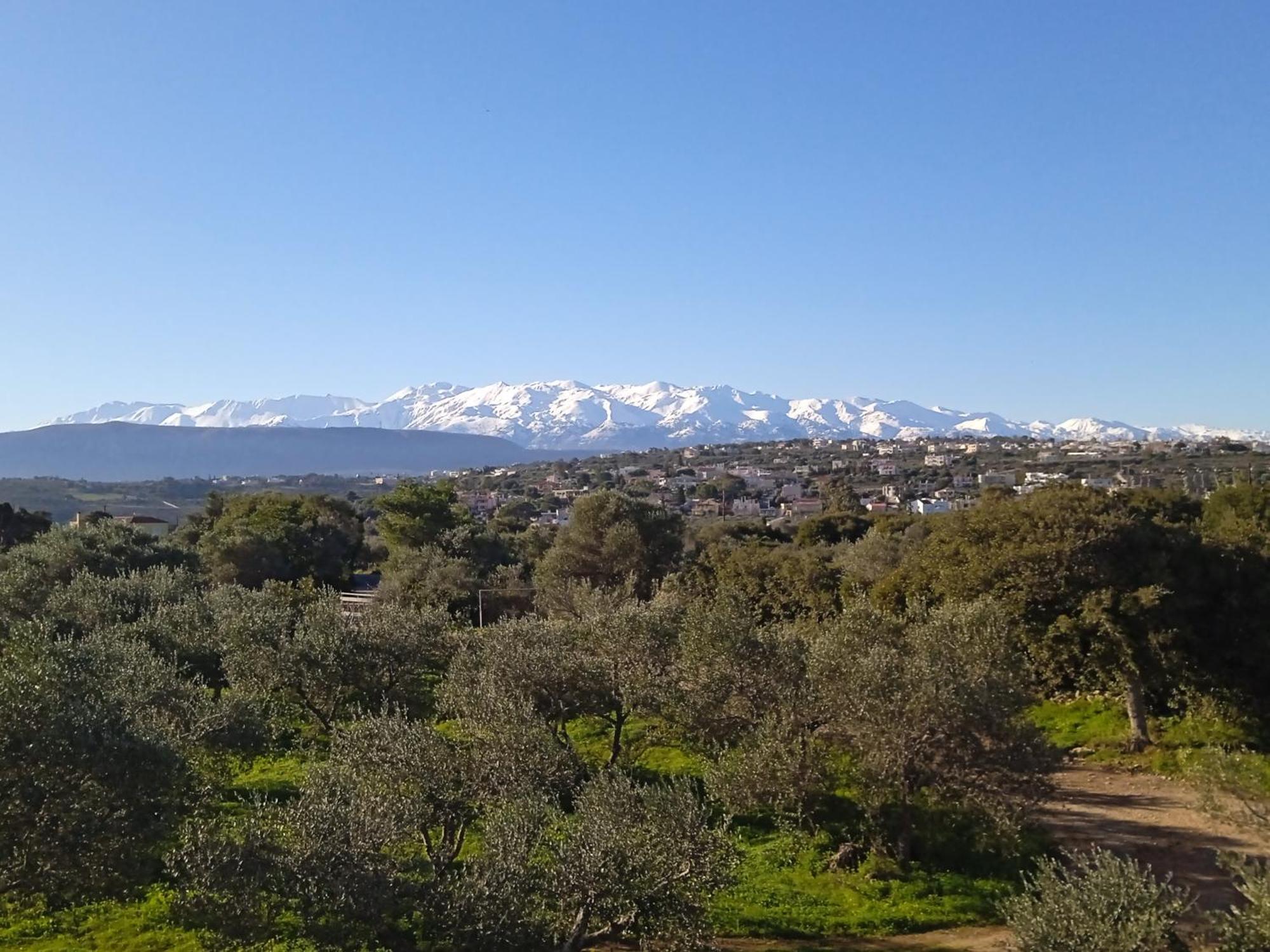 Manolo S Olive Farm, Apartment With Seaview Chania  Exterior foto